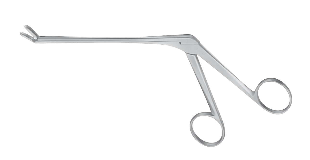 Caspar Rongeur (Teeth) - Upbiting