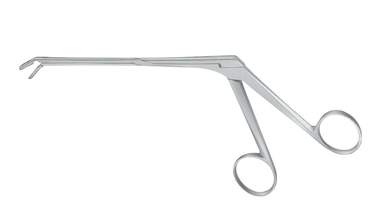 Caspar Rongeur (Teeth) - Downbiting