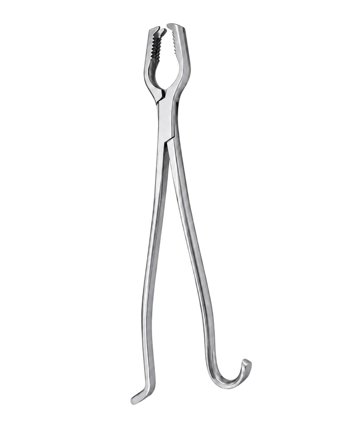 Lane Bone Holding Forceps